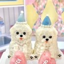 테이스팅독 이미지