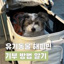 비글구조네트워크 동물메디컬센터 | 유기동물 기부 해피빈부터 보호소까지