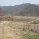 천원부동산공인중개사사무소 이미지