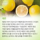 착한과일 이미지