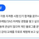 해블리네 네이버블로그