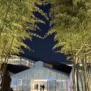 낭만모터스 | 수영구 F1963 대나무숲길 산책로부터 YES24, 크리스마스 트리존까지! 겨울 감성 가득한 방문 후기