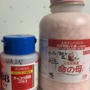 태화문구 이미지