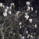 60계 광주금호점 이미지