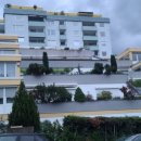 독일약국 이미지