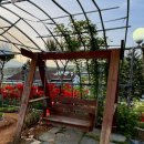 자연알로(보령) 이미지