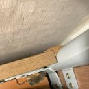 전북과학고등학교 이미지