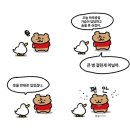 언니네홈짐