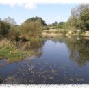 대은주유소 이미지