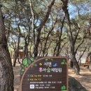 KT&G 옆 공터 | 춘천 / 유아숲체험원 삼천,서면 두곳 비교,방문후기