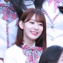 사쿠라 Daum카페