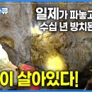 ■금제련,정련기술(선광),탐광 배울분? 이미지