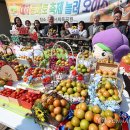 강서구-22 이미지