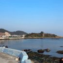 편한점빵 | 부산 기장 애견동반 신상카페 추천｜연화점빵 내돈내산 후기