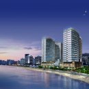 팔레드시즈 Daum카페