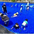 상룡농장 이미지