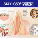 덴탈마트 이미지