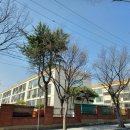 핌플스탁구