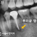 서울바정치과의원 이미지