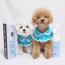 펫사랑약국 이미지