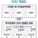 ▣2008년 리만의 충격... 이미지