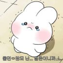 파스타도 식사다 - 상주시 | 파스타도 식사다