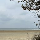 언덕침소 이미지