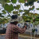 방산농장 이미지