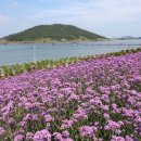 퍼플 - 세종특별자치시 새내로 125 | 퍼플