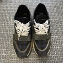 스웨디언 이미지