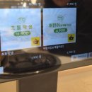 햄포유 | 서면샤브샤브 샤브포유 서면전포점 서면무한리필맛집 솔직후기