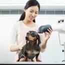 24시 딜라이트 동물의료센터 네이버블로그
