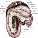 24시 청주이음동물의료센터 이미지
