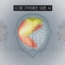 청소년 ’사피엔스’ 함께 읽기 이미지