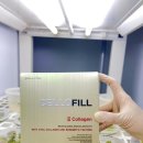 지인터내셔널
