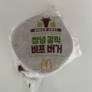 순천매실 | 맥도날드 재출시 버거 [창녕 갈릭 비프·치킨 버거 & 순천 매실 맥피즈] 솔직 후기!