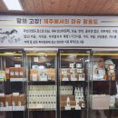 제주를 담다 이미지