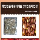 (주)떡과풍경