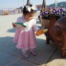 황금섬숯불갈비 이미지