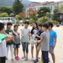 함양 금반초 아토피 치유학교로 인기 이미지