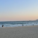 조선포차 네이버블로그