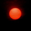 바다이야기 이미지