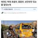 경희대세계로태권도 이미지