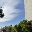 오금로310앞 | [일상] 2023년 4월 셋째 주 주간 일상 기록