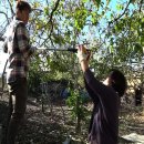 낙산농장 이미지