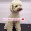 하단동174 이미지