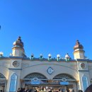 (주)에이치디엑스스카이 | 무서워하는 사람도 용기내서 탈 수 있는 놀이기구 정보( 아마존익스프레스, 롤링엑스트레인, 허리케인)