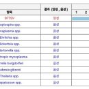 24시 모란동물 메디컬센터 이미지