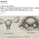몸의형태 이미지
