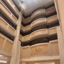 하얀풍경 | [260410] STEP 8-2 대장고양이와의 우당탕탕 제주스냅 여정기(유인 하얀작가님 후기)